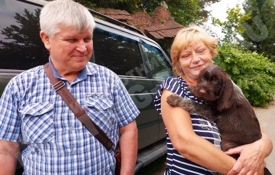 Новые владельцы